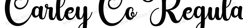 Carley Co Regular字体转换